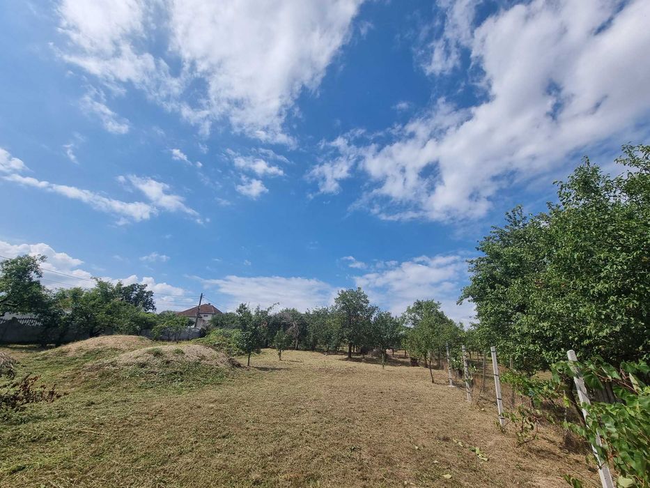 Anunț de Vânzare – Teren în Viile Satu Mare ​Titlu: Teren Ideal pentru Construcție – Strada Libertății nr. 4