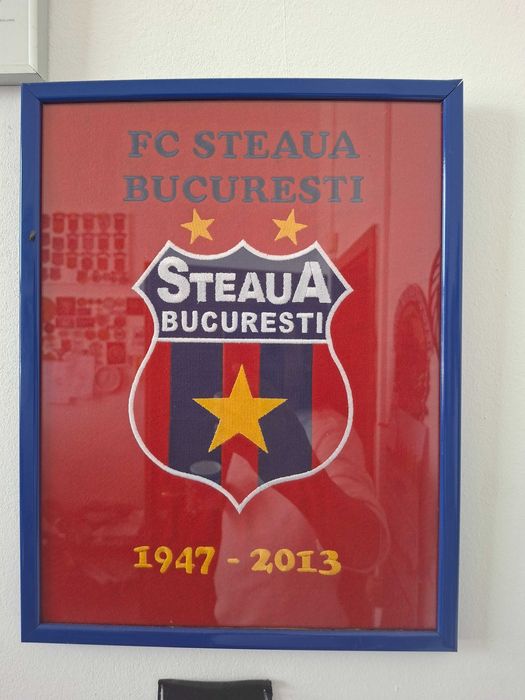 Tablou Steaua București 2013