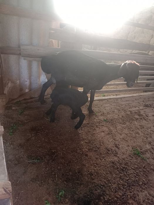 140.000 тенге#₽₽₽₽