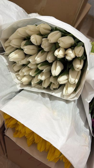 Тюльпан с оформлением