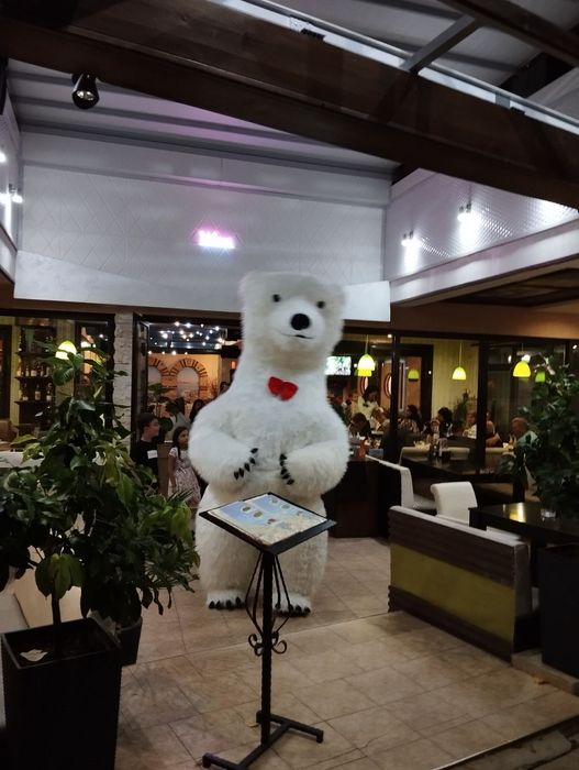 Гигантско Бяло мече за изненади