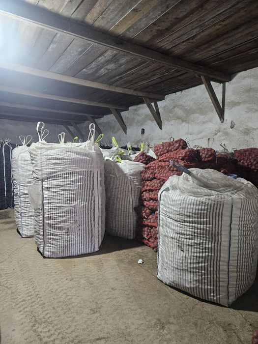 Vând Cartofi de samânța