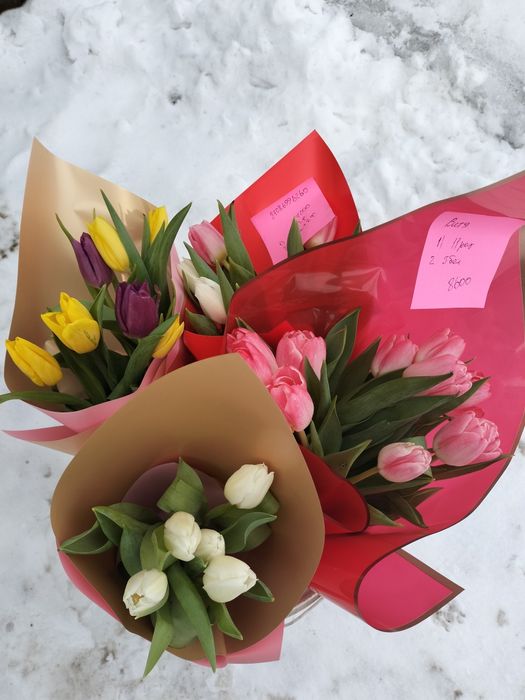 Тюльпаны с оформлением