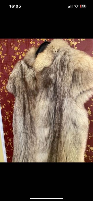 Vesta blana vulpe