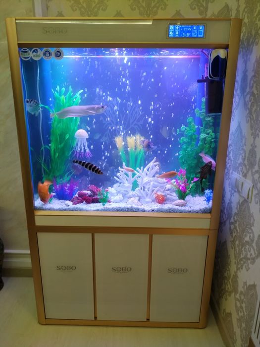 Аквариуми под заказ на любой вкус.