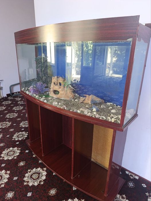 Akvarium arzon narxda sotiladi