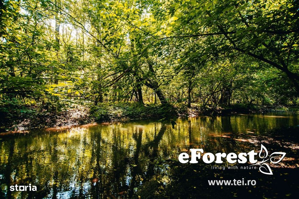 Profită acum de oferta de Paște! Langa padure. zona verde - eForest