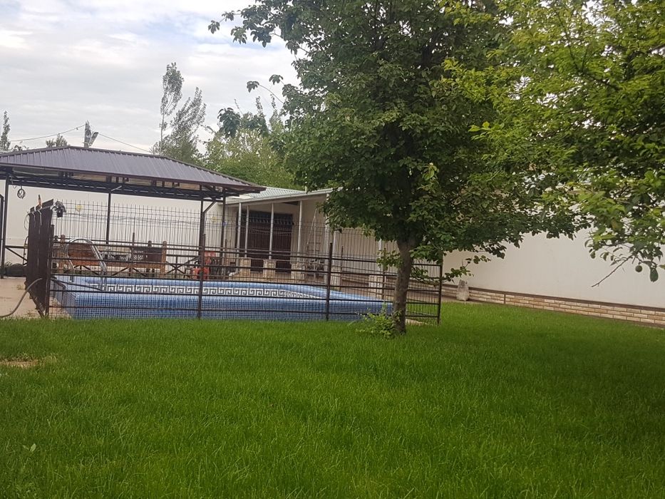 Sifatli gazon rulonliy (salafanli)