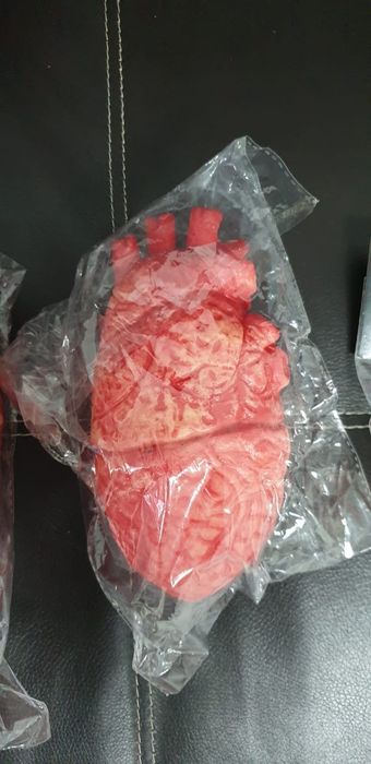 Части тела для квеста