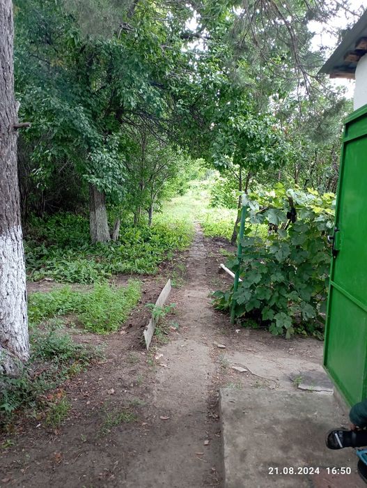 Продам дачу  срочно