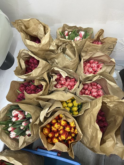 Астана Цветы Тюльпаны по 850тг