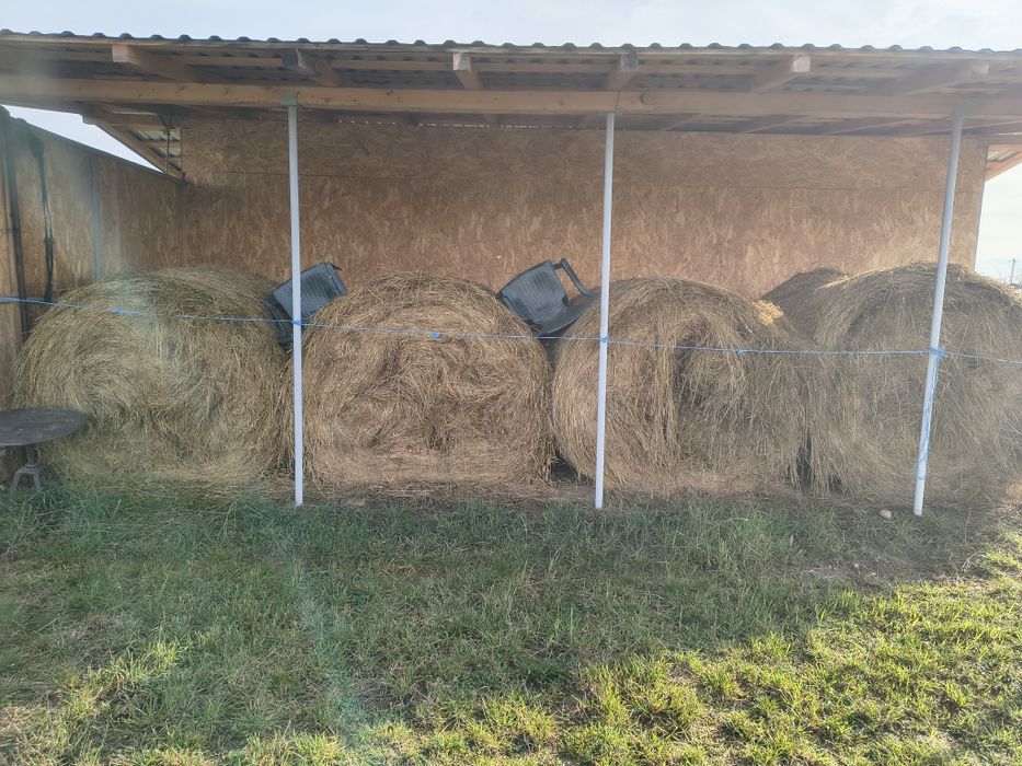 Baloți rotunzi fân 150x120