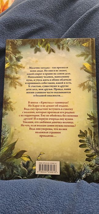 Катя Брандис "Дети леса". "Караг и волчье испытание"
