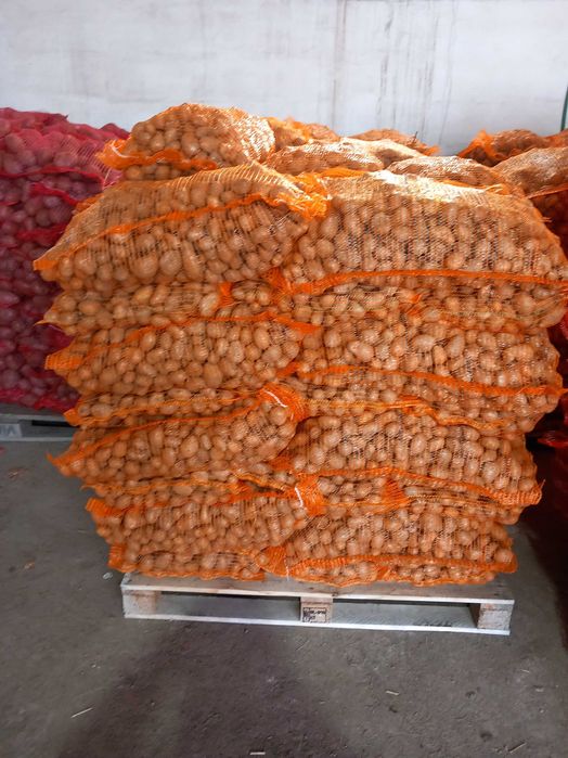 Vand sămânță de cartof