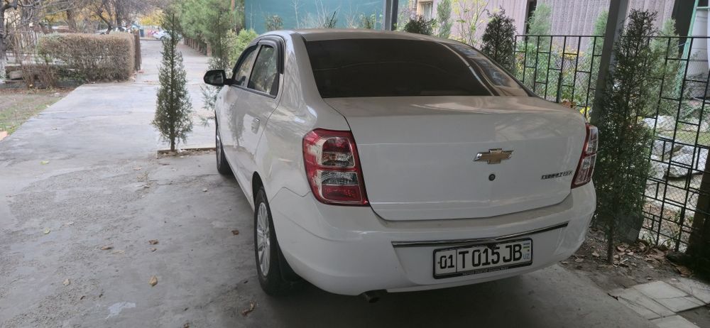 Кобольт 2020 год