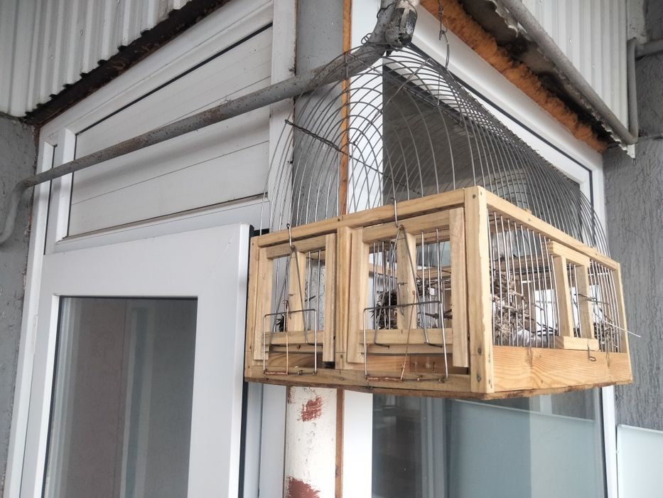 Продам клетку ловушку для щеглов