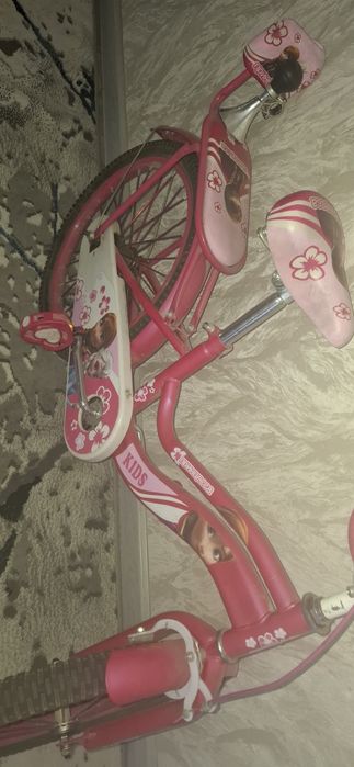 Veliik-pricessa pullple