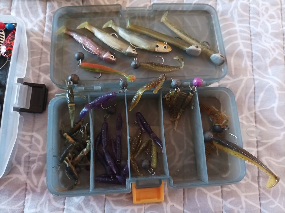 Tailwalk Dageki & Shimano Stradic