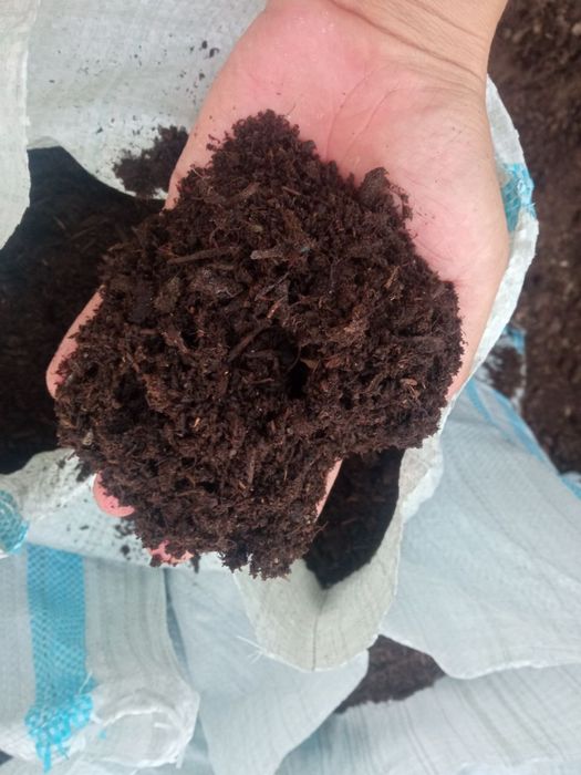 Mesniy torf sifatli va unimdor