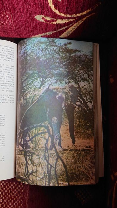 Сред животните на Африка от Бернхард Гжимек.