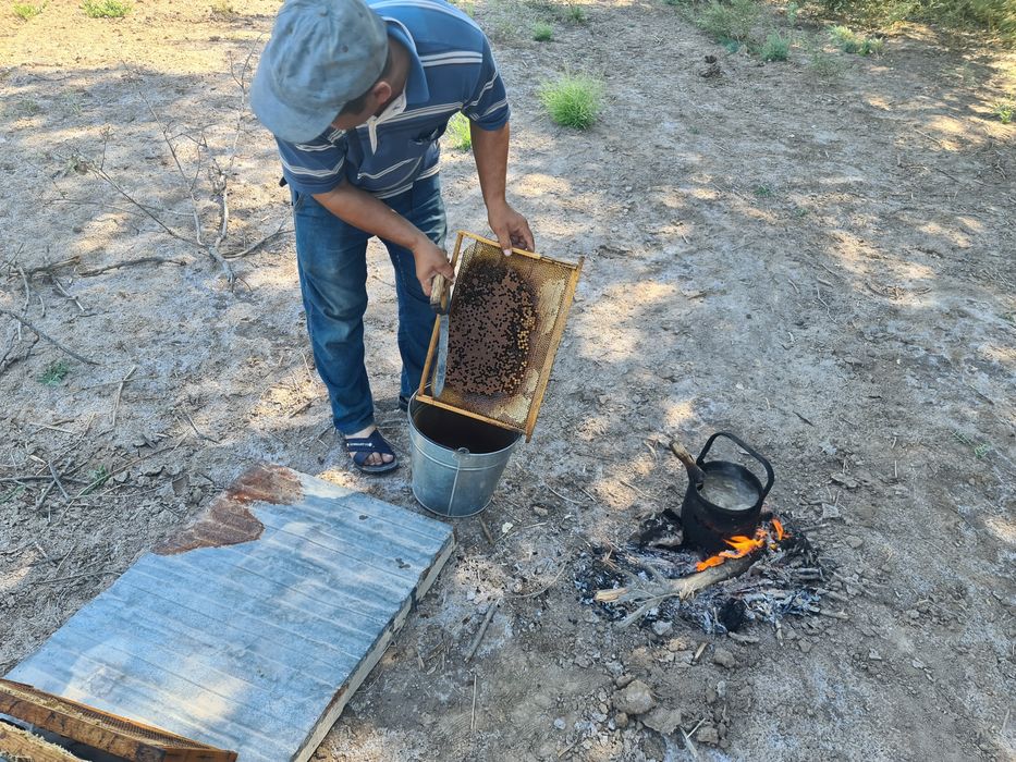 Чистый таза мёд сатылады