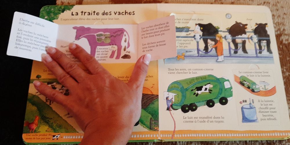 A la ferme Usborne 30 lei