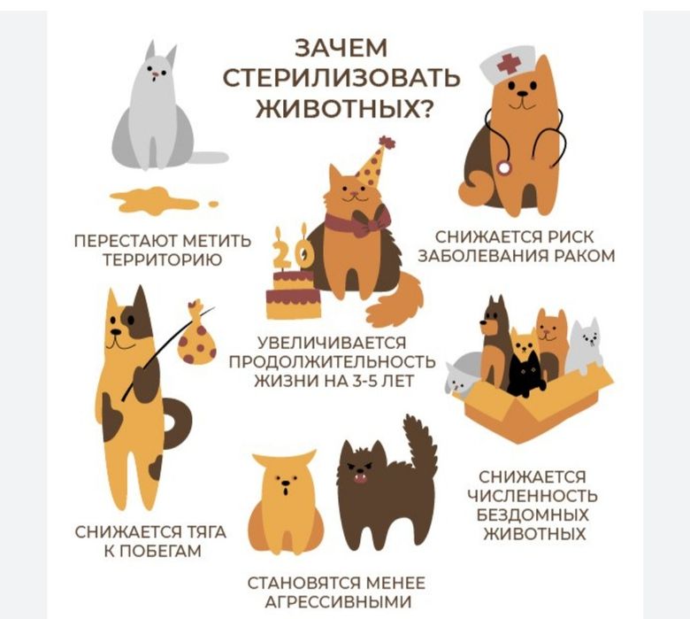 Услуги ветеринара