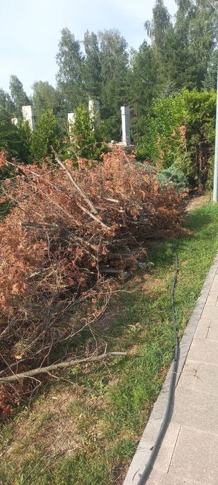 Вывоз мусор утилизации мебели 24/7