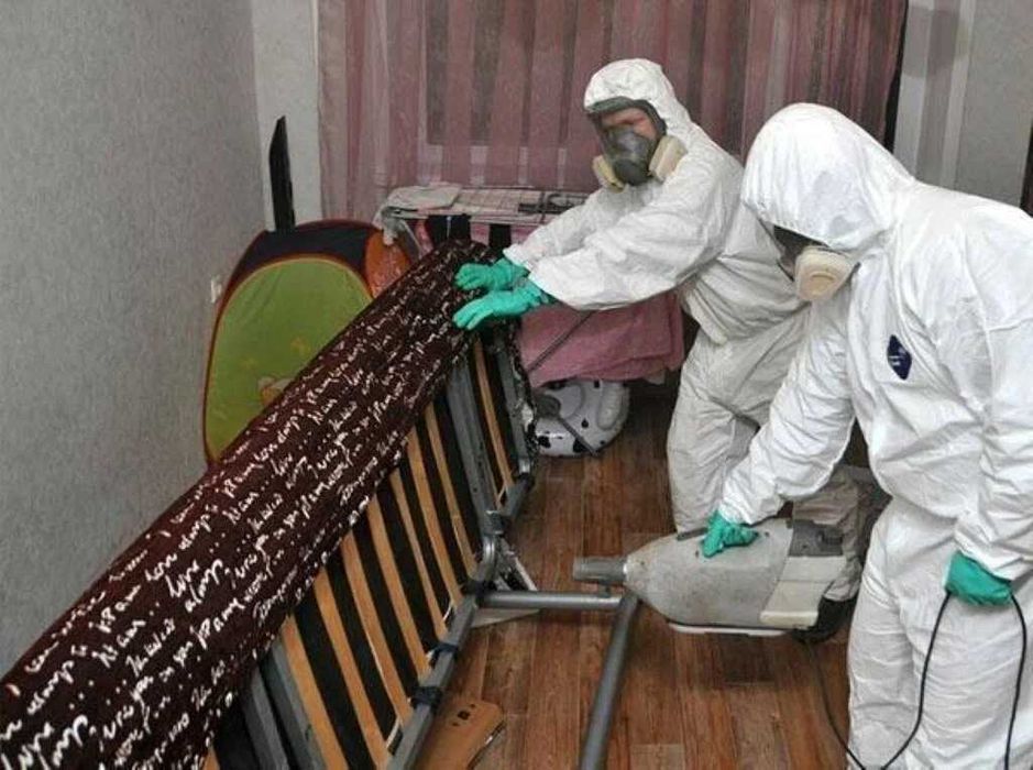 Dezinfeksiya Дезинфекция илон чаён кана клоп таракан klop tarakan