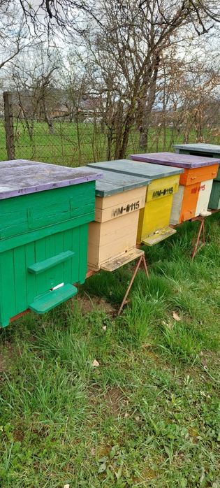 Vand stupi in stare foarte buna