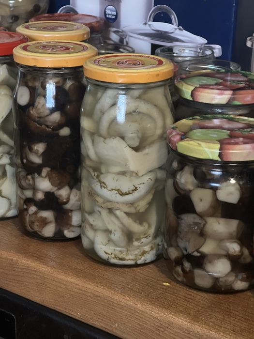 Маринованные грибы
