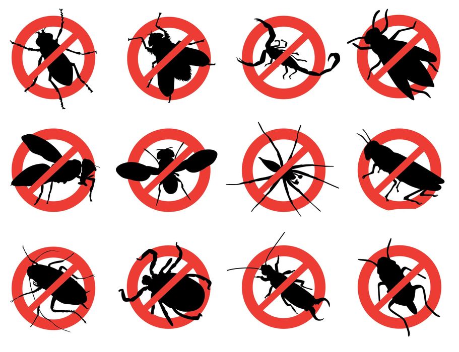 Убойная дезинфекция. Дезинсекция. Безвредно. с гарантией.