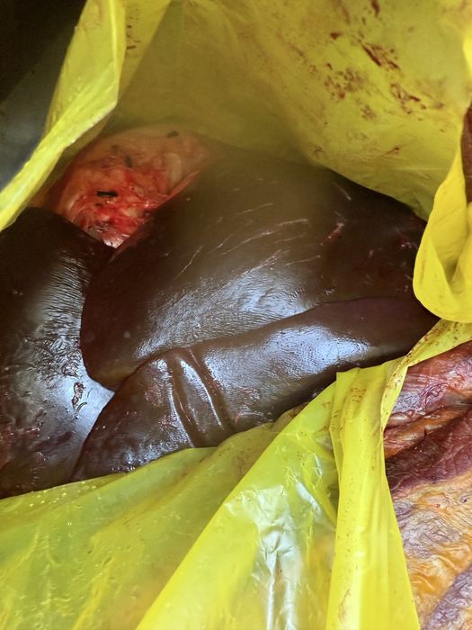 сбой 400 тг кг комплект