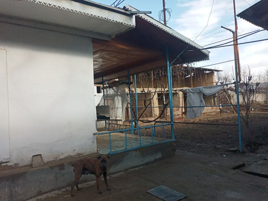 Продается дом участок 20 сот