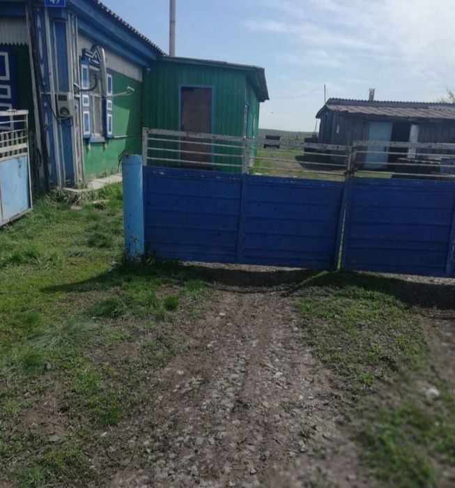 Продам дом в селе Толмачевка .