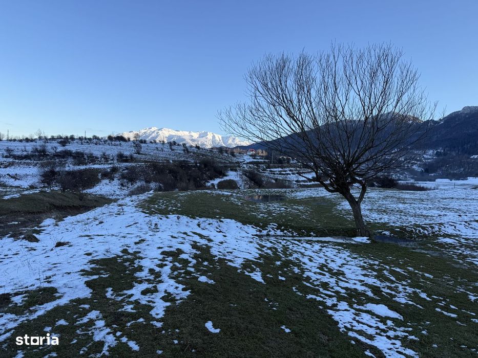 Teren intravilan 667 mp in Zarnesti zona Grui pentru casa