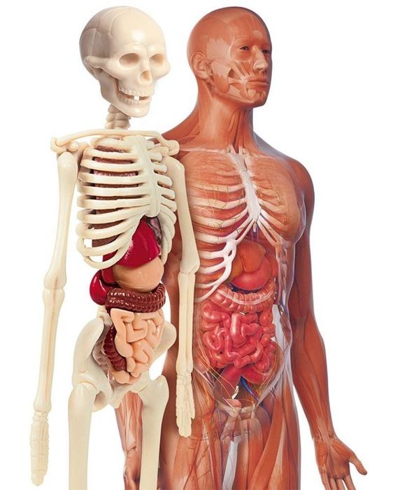 Детска игри Clementoni за 50 лева всяка при покупка на двете намаление