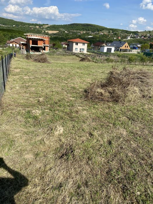 Teren intravilan 1711 mp Sãlicea