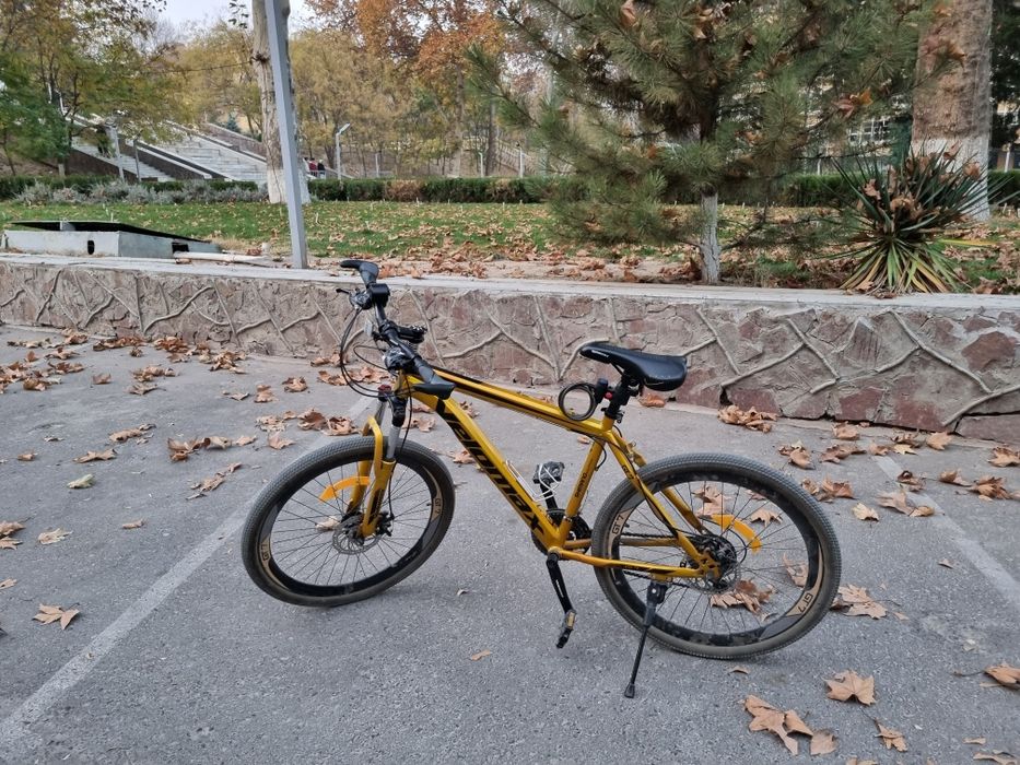 Velosiped (skorostnoy)