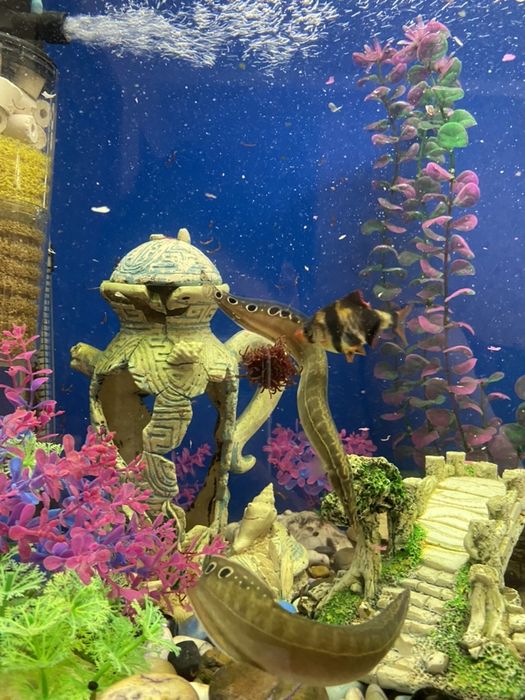 Продам аквариум на 130 литров