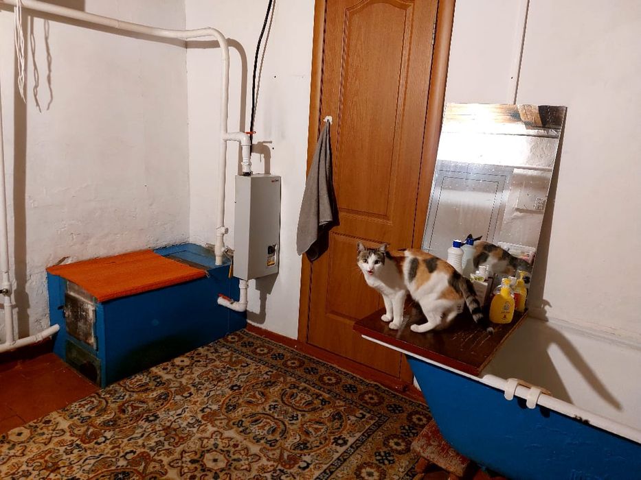 Продам дом в Кенжеколе