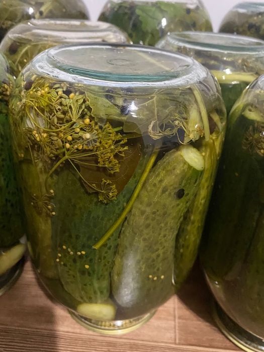 Закатка саленых огурцов