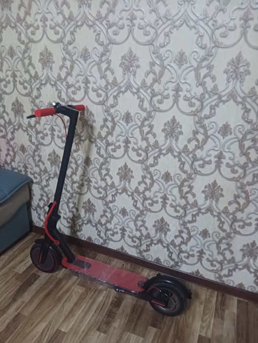 Yangi samakat va arzon