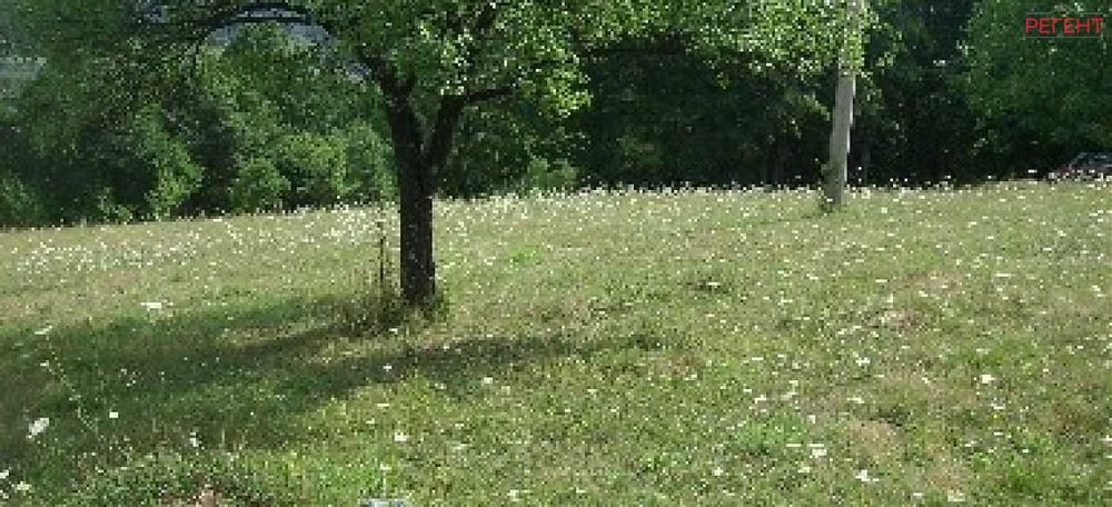 Парцел-Петкова нива-3200м²