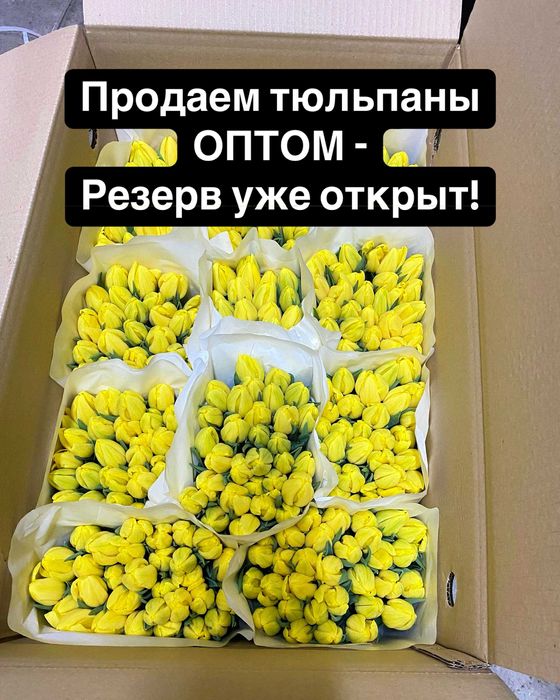 Тюльпаны оптом Костанай