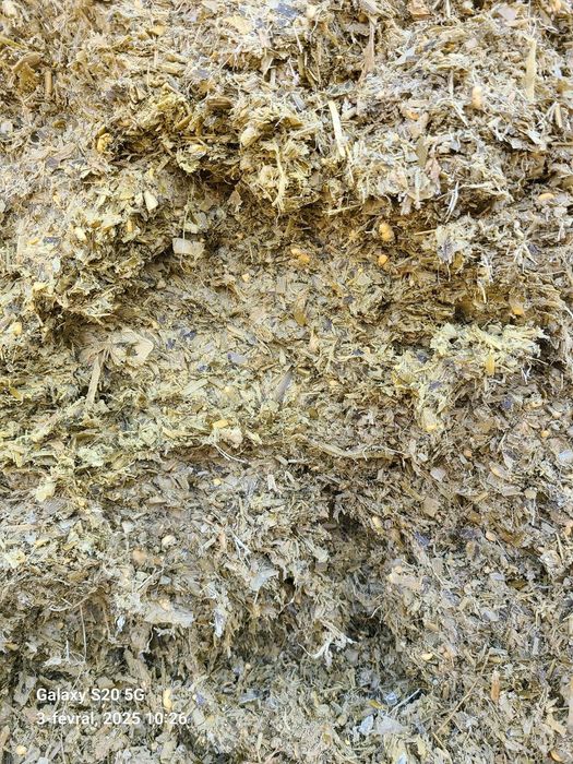 Donlik silos chinozda