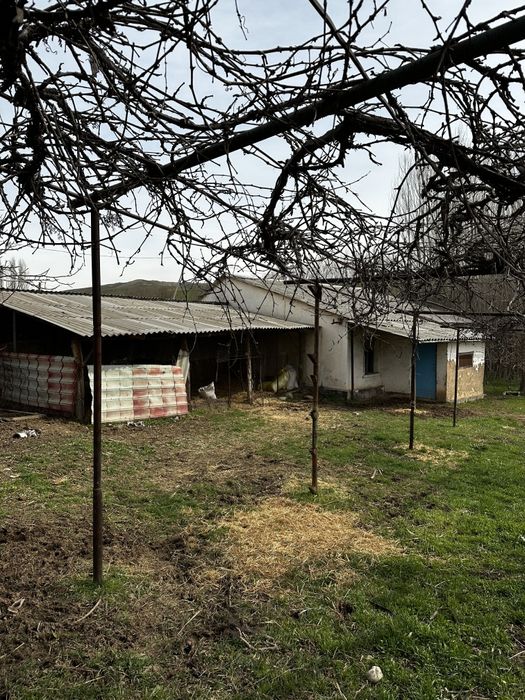 4 xona yashash uchun 4 xona tovuq juja va bol qoy boqsa buladigan joy