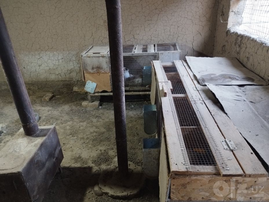 Quyon fermadagi inlar sotiladi