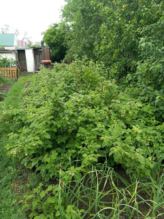Срочно продам пол дома в рассрочку