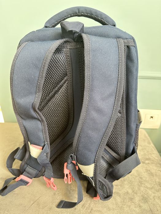 Рюкзак школьный Greezly